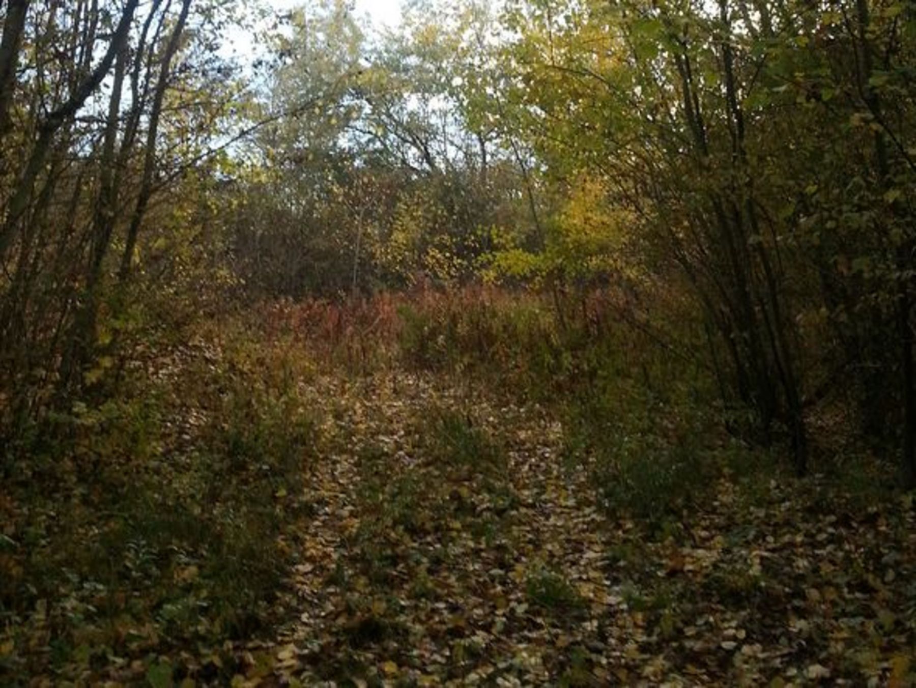 Seit Jahrzehnten sich selbst überlassen Seit Jahrzehnten sich selbst überlassen