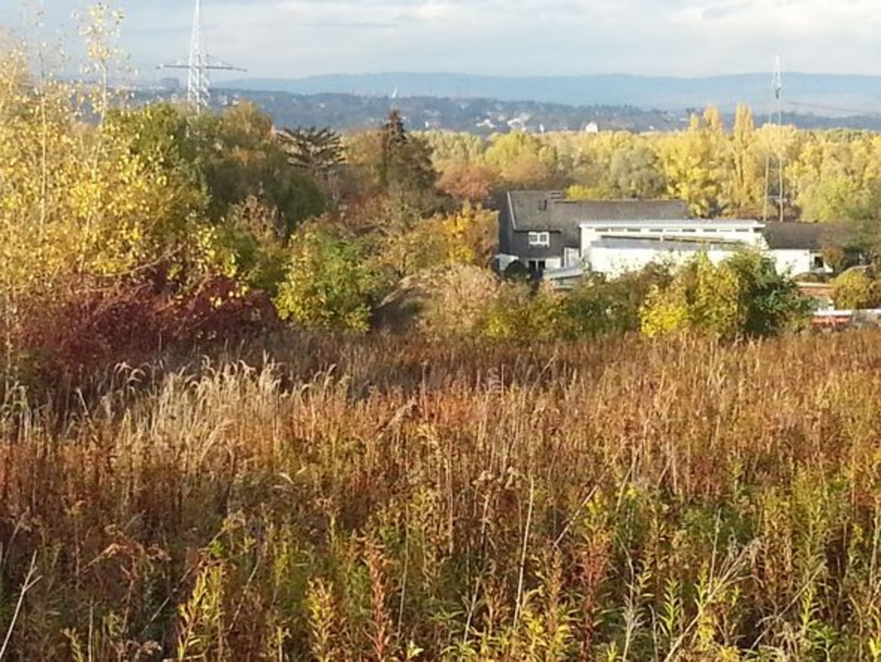 Blick Richtung Rhein